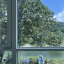 큰몰펜션 이미지