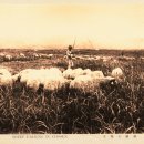 삼방1리 이미지