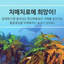 (주)렉스 네이버블로그