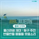 주전몽돌해변1(행정봉사실) | 울산관광 재미 : 동구 주전 반들반들 몽돌들 웃음소리 뜯고, 씹고, 맛보기