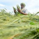 월드태양광 이미지