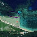 신성렌탈 | 미야코지마 거북이 명소 | 아라구스크 해변(新城海岸) 솔직 후기 - 1인 1거북이