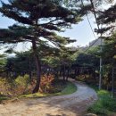 세종 도우리 행정사사무소 이미지