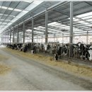 산업목장 이미지