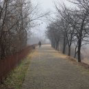 경안천습지생태공원 이미지