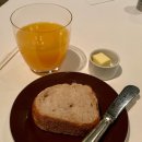 디오크(The oak) 이미지