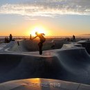 비즈베이스