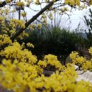 청도한의원 이미지