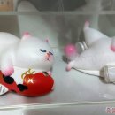 비비캣 이미지