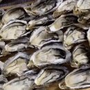 스타덤핏 이미지