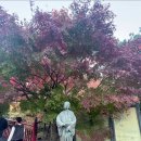 히메지 - 4550 | 히메지