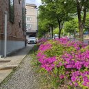내집엔 - 달서구 성서공단로39길 27 | 내집엔
