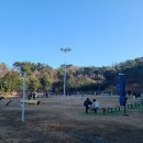 펫빌리지 이미지