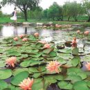 일단지공원 이미지