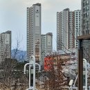 초곡 초등학교 이미지