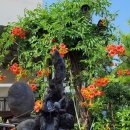 옹달샘약수터 이미지