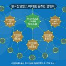 한국천일염소비자협동조합 이미지