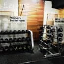 스타트라인 이미지