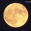 해돋이슈퍼 이미지