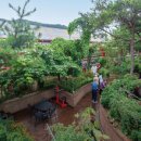 손씨농장 이미지