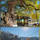 단산2리 경로당 이미지