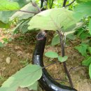 봉동지역아동센터 이미지