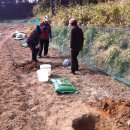 규태농장 이미지