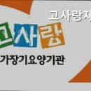 고사랑