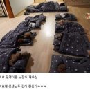 보배유치원 이미지