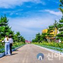 국화황토공원 이미지