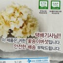 형제꽃송이버섯 효소 먹는법 한가인 영양제