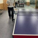 5월 일상 남양주 금선사 데이트 동탄 일상