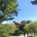 그린힐 컨트리클럽 이미지