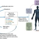 Re: The bioactive potential of phytohormones 식물호르몬 2022 이미지