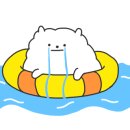 순정축협 정읍한우명품관 네이버블로그