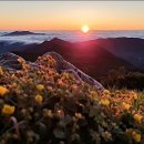 재약산식당 이미지