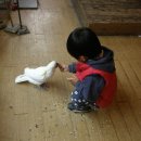 도훈목장 Daum카페