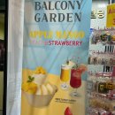 레드컨테이너 홍대역점 | 홍대 빙수 맛집 발코니가든 뷰가 좋은 데이트코스 추천