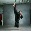 필살 합기도 이미지