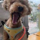 이윤세동물병원 이미지