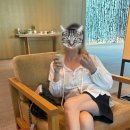 [강원 / 정선] 부모님과 가기 좋은 리조트, 파크로쉬 1st day