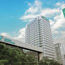 랩 메딕스 이미지