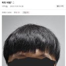 갤러리헤어 이미지