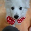 (주)해피맘 이미지