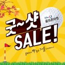 프라이드골프존