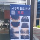 아벨리