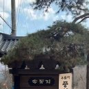 우둠지 풍천장어