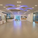 마이펫 강아지유치원 이미지