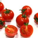 토마토휘트니스클럽 이미지