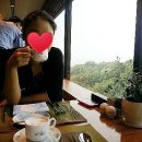 썬팅의명수